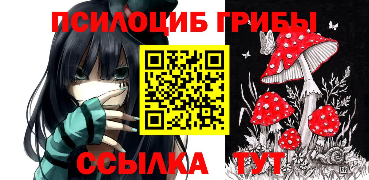 Ногинск  Псилоцибиновые грибы ЛСД  Галлюциногенные грибы ЛСД  Вход с VPN 