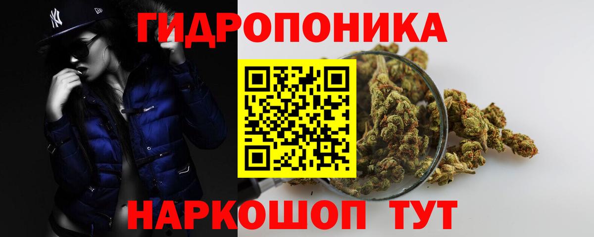 МАРИХУАНА план  Вход с VPN  МАРИХУАНА Amnesia  Марихуана индика  Ногинск 